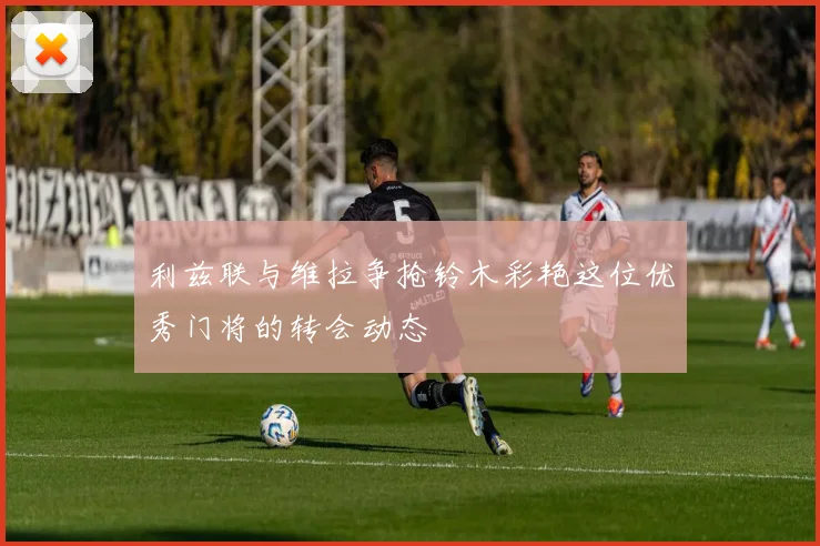 利兹联与维拉争抢铃木彩艳这位优秀门将的转会动态